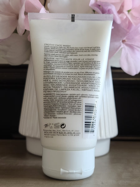 Origins Checks and Balances Frothy Face Wash