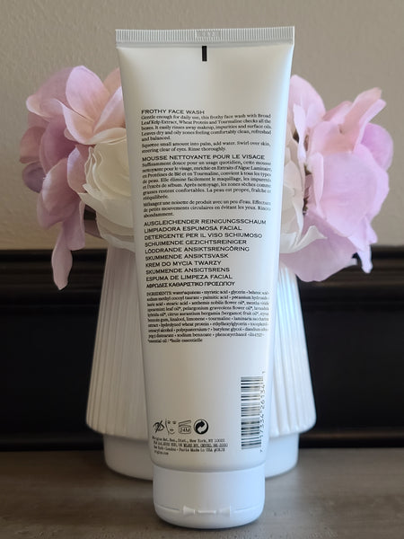 Origins Checks and Balances Frothy Face Wash